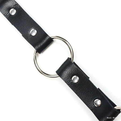 Anal Hooks Anal Leash 5853 Hook EverydayUse and with Kinky Collar 1017